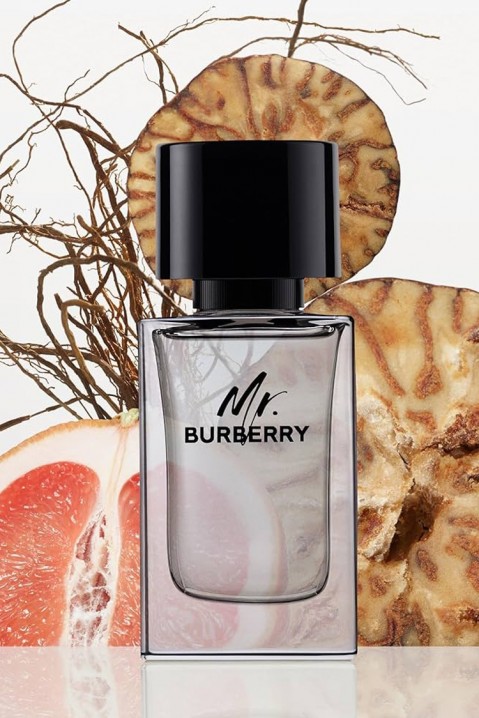 Perfumy Burberry Mr. Burberry EDT 50 mlIVET.PL - Modna odzież