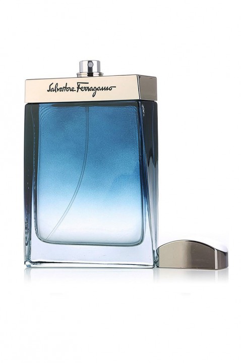 Perfumy Salvatore Ferragamo Subtil Pour Homme EDT 100 mlIVET.PL - Modna odzież