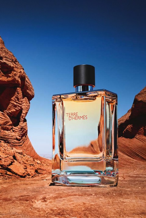 Perfumy Hermes Terre D`Hermes EDT 100 mlIVET.PL - Modna odzież