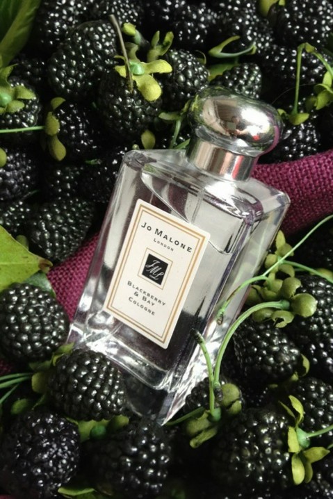 Woda kolońska Jo Malone Blackberry & Bay EDC 100 mlIVET.PL - Modna odzież