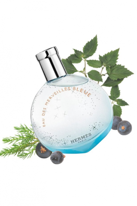 Woda toaletowa Hermes Eau Des Merveilles Bleue EDT 50 mlIVET.PL - Modna odzież